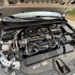 548820014_1222324526603525_2743465250679806885_n