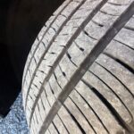 557479261_1241759344660043_5863597176155867640_n