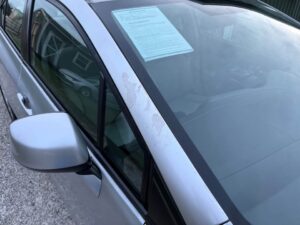 600301755_1303306605171983_2941262268652622209_n